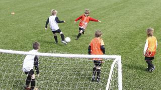 Pupillengoals bestellen